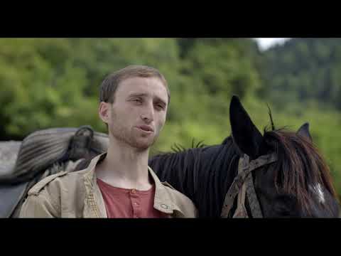 ინტერნეტიზაცია - ბორჯომი