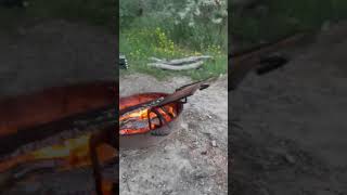 Video of Far West on the Yellowstone River, MT from Carley C.