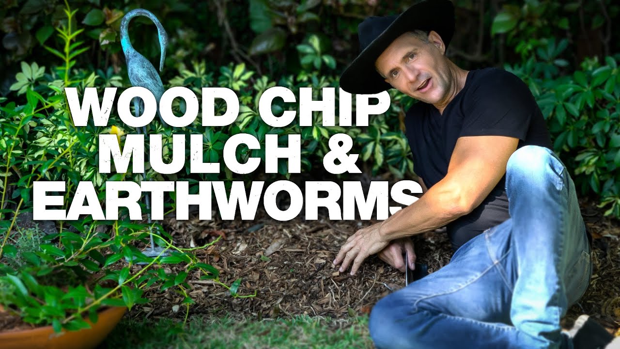 My FreeRange Worm Farm How I Use Wood Chip Mulch for Soil Building