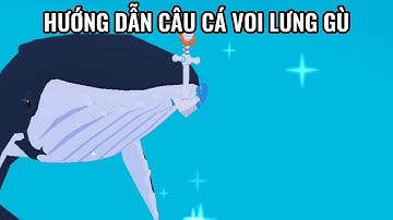 HƯỚNG DẪN CÂU CÁ VOI LƯNG GÙ TRONG CUỘC THI CÂU CÁ