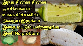 சின்ன சின்ன ஈக்கள் உங்கள் வீட்டில் நிறைய இருக்கா இதை மட்டும் பண்ணுங்க/How to get rid of fruitflies சின்ன சின்ன ஈக்கள் உங்கள் வீட்டில் நிறைய இருக்கா இதை மட்டும் பண்ணுங்க/How to get rid of fruitflies