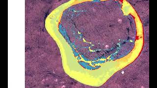 Part 2. Metode Lyzenga Pemetaan Habitat Bentik I Moromaha Wakatobi I Unsurpervised Classification