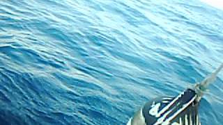 0154 Serkan Keskin Beyden Kopepbaligi Bolum 2