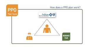 pros and cons of preferred provider organization A ppo, short for preferred provider organization, is a type of health insurance plan ppo plans give you flexibility when finding healthcare providers by giving you an approved network of preferred doctors, specialists, and hospitals. pros and cons of preferred provider organization A ppo, short for preferred provider organization, is a type of health insurance plan ppo plans give you flexibility when finding healthcare providers by giving you an approved network of preferred doctors, specialists, and hospitals.