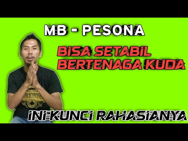 murai batu pesona bisa setabil bertenaga kuda ✓✓ cukup full jangkrik ini settingan hariannya class=