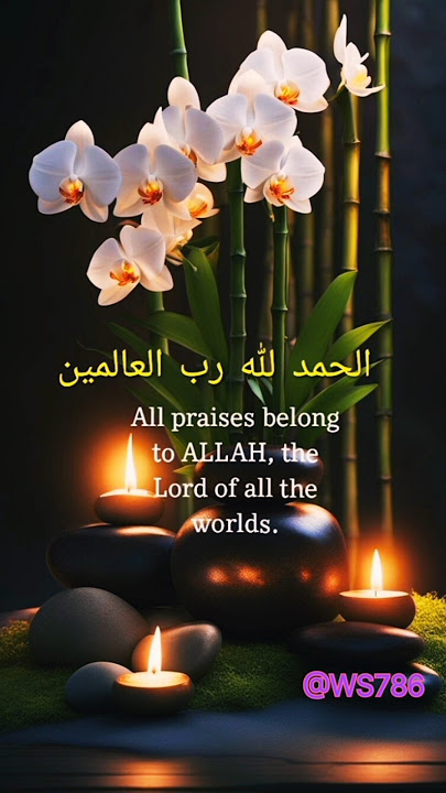 Alhamdulillah _The Beauty of Gratituide in lslam #shorts
