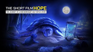 Short Film HOPE | The Journey Of A New Born Baby Sea Turtle Story | Ambar Se Toda Song | RRR