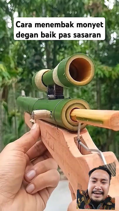 Cara menembak monyet dengan baik dan benar 🤣🤣