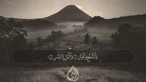 تلاوة من سورة الفجر ) للقارئ احمد الشافعي