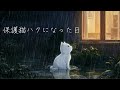 保護猫ハクになった日～キミとボク～