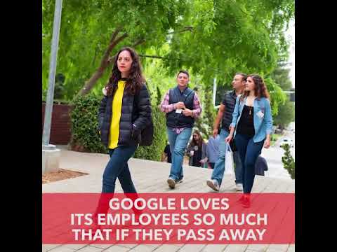 Google birthday surprise spinner|breathing exercise|earth ...