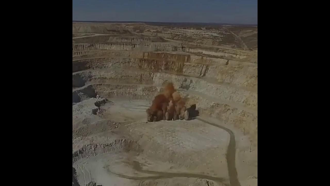 Все видео и фото про покровский рудник