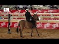 COMPETENCIA MULARES FERIA DE LAS FLORES 01.A lomo de Mula con Ovidio Osorio