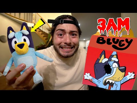 DO NOT ORDER BLUEY HAPPY MEAL AT 3 AM GROSS 