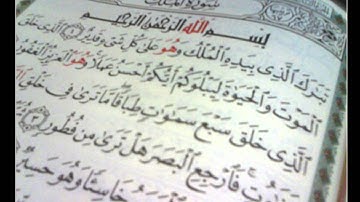 سورة الملك - بصوت عامر الكاظمي