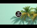 Soft Palms &amp; Tropical Breeze 🌴 | 90-Minute Chill Loop