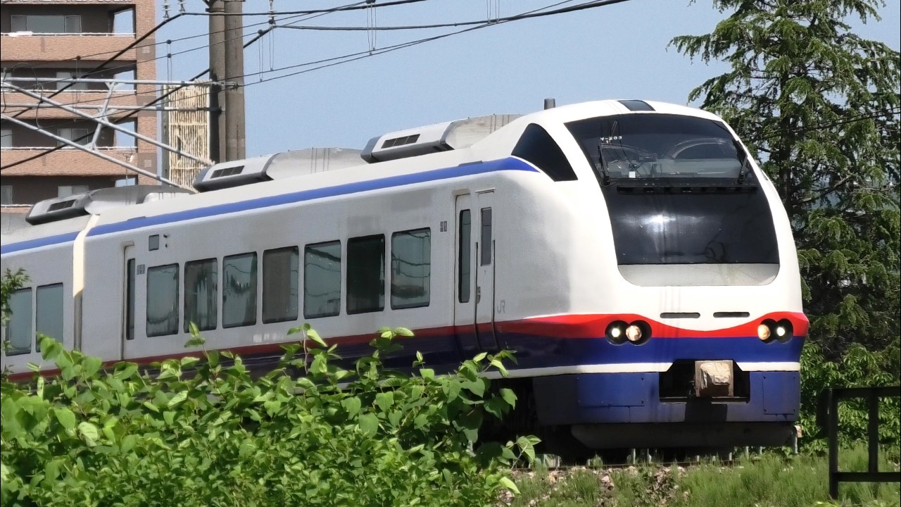特急しらゆき6号上越妙高行き【4K】E653系H203編成56M - YouTube