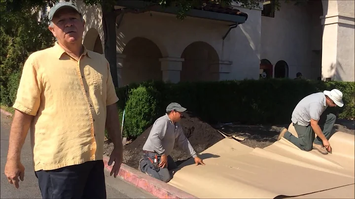 Sheet mulch demonstration