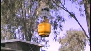 Camping Gas Light, Kills bugs around our camp at night.