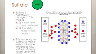 Sulfur Agronomy U Session 2