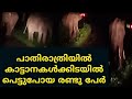 രാത്രിയില്‍ കാട്ടാനക്കൂട്ടത്തില്‍ പെട്ടവര്‍, Elephant Attack,