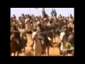 شيله حان الوعد يالابتي لبو الندا ايقاع الزير سالم شيله حان الوعد يالابتي لبو الندا ايقاع الزير سالم