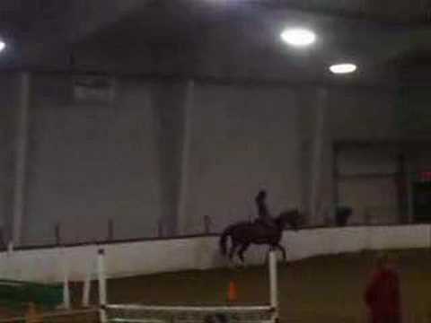 Riding Clinic With Robin ** FEATURING TASHA!!!