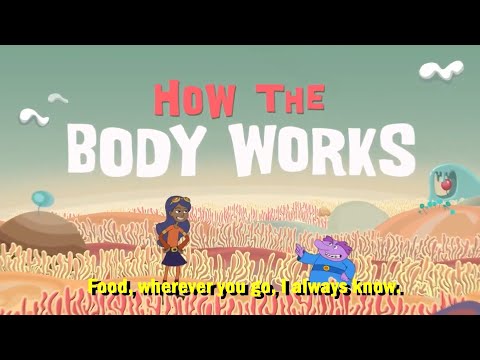 The Digestive System Song