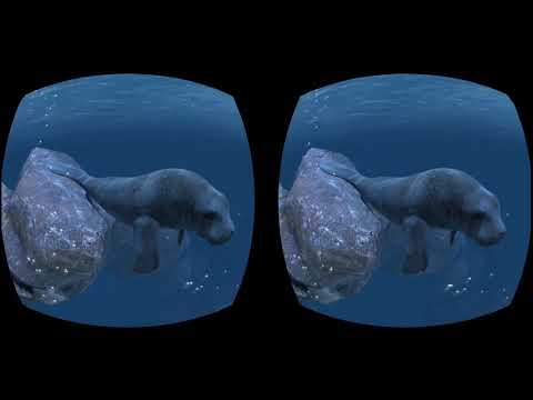 Видео: 3D SBS Cardboard video 3D Ocean Rift на русском от Сказочника