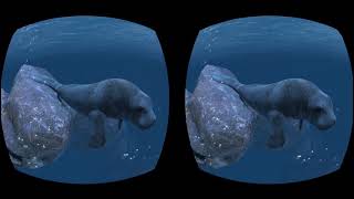 3D SBS Cardboard video 3D Ocean Rift на русском от Сказочника