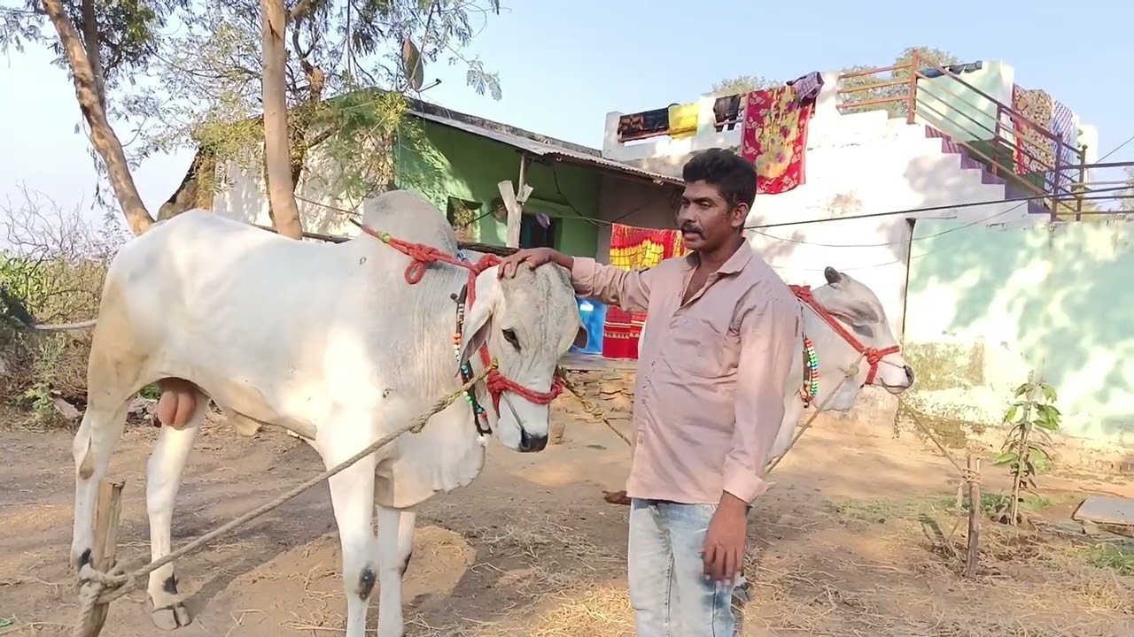 నాకు వార్నింగ్ ఇస్తున్నారు ఫ్రెండ్స్ నన్ను చాలా బాధ పెట్టారు ఈ వీడియో చూడండి 