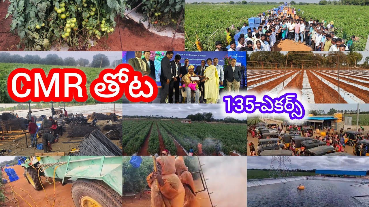 17-12-2025 CMR తోట 