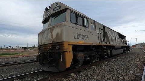 LDP004 walk Goobang Jnc East NSW.  Thu 11th Aug 2022