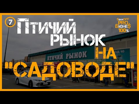 Птичий рынок на САДОВОДЕ! Бесплатный зоопарк на оптовом рынке. Товары для животных.