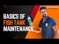 Fish Tank Care 01: Tips for Beginners | How to Use Anti-Chlorine, Methylene Blue, and Aquarium Salt.