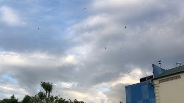 Second day Changing new external sound and update some partition 2020