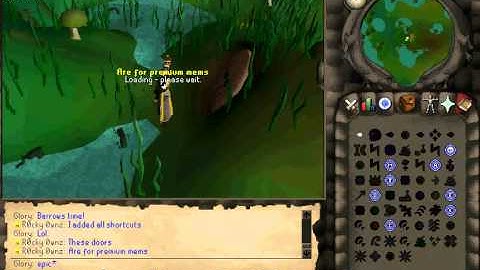 New runescape private server | Oldschool | 317 | Webclient