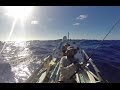 Adventurous couple across Atlantic