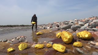 Searching for Treasures worth millions from Huge Gold Nuggets
