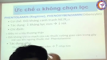 DƯỢC LÝ CTUMP: THUỐC LIỆT GIAO CẢM