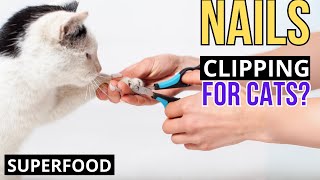 Should You Trim Your Cat's Nails? Or NOT? And HOW?  A Complete guide. by Superfoods for CATS 85 views 1 month ago 4 minutes, 31 seconds