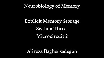 Lecture 14: Explicit Memory Storage, Microcircuits ( II )