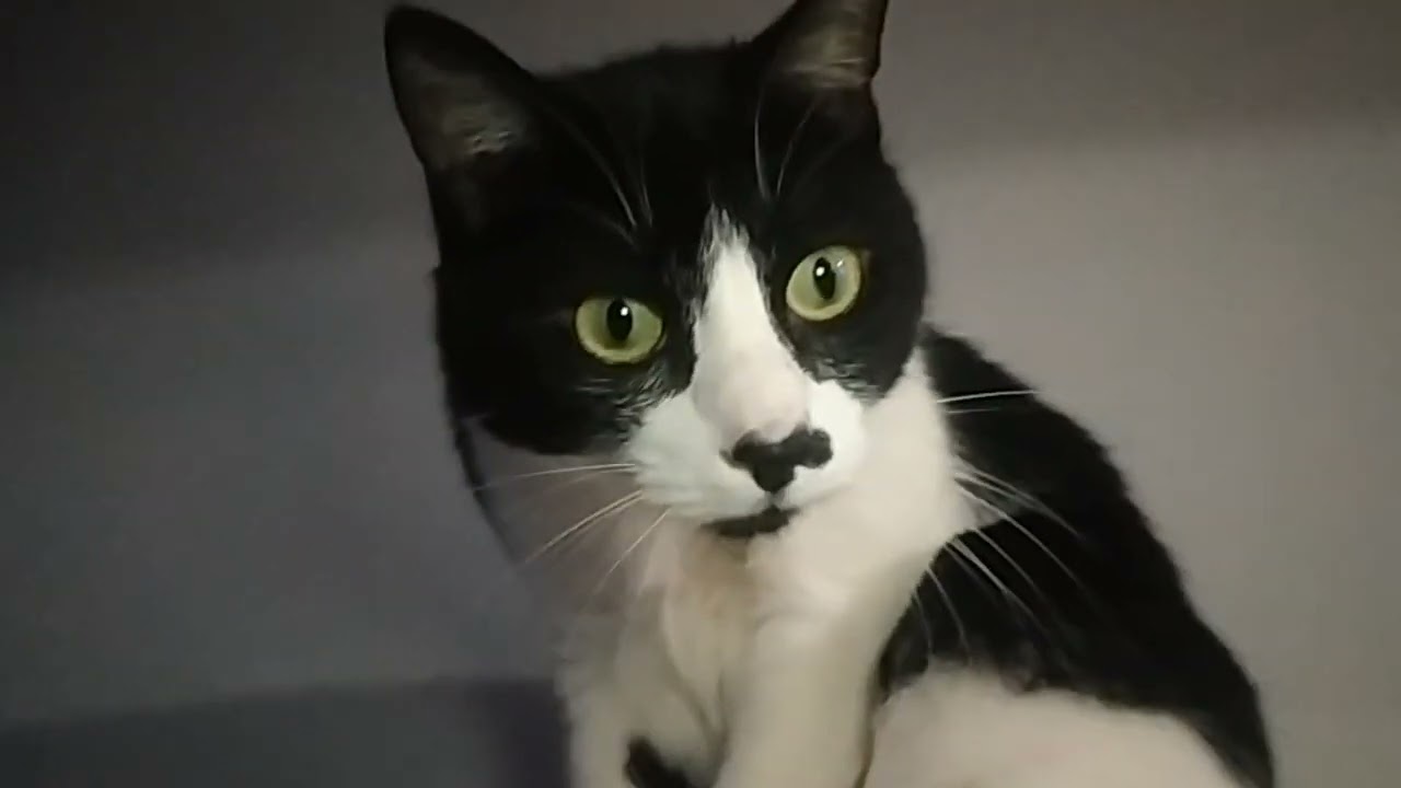 DIY Camper build | Mercedes-Benz 208D OM601 | Пассажиры