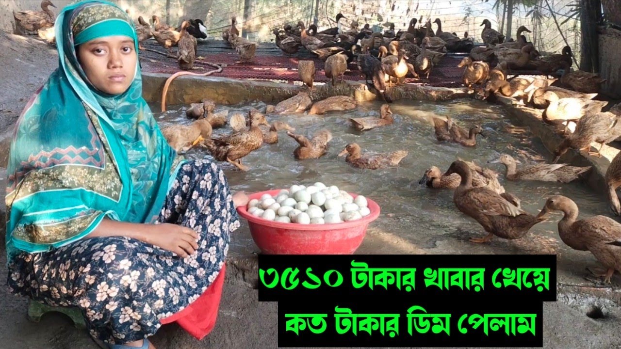 ৪৬০ টি হাঁস পালন করে আমার মাসে কত টাকা ইনকাম হচ্ছে। 