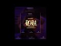 Adam Berry RORA Audio 