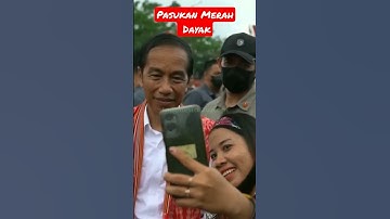 Momen Presiden Jokowi Ditengah Ribuan Pasukan Merah Dayak Panglima Jilah #shorts #jokowi #dayak
