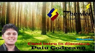 Puiu Codreanu - Cand intru in discoteca (Colectia Rhumbe)