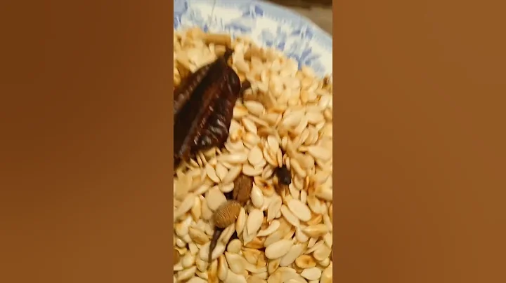 FRIED EGUSI&SPIECES FOR EGUSI PEPPER 🌶️#diycooking #share #food #subscribe #comment