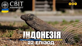 Дракони Комодо: одкровення тих, хто вижив після нападу двометрових варанів. Світ навиворіт 22 випуск