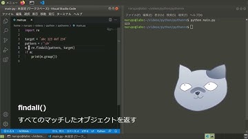 Pythonの正規表現をreモジュールで行う方法を解説